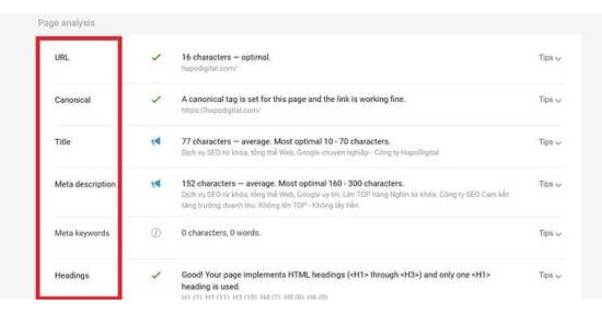 Thẻ Page Information