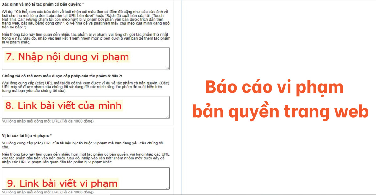 báo cáo vi phạm bản quyền trên website cho google