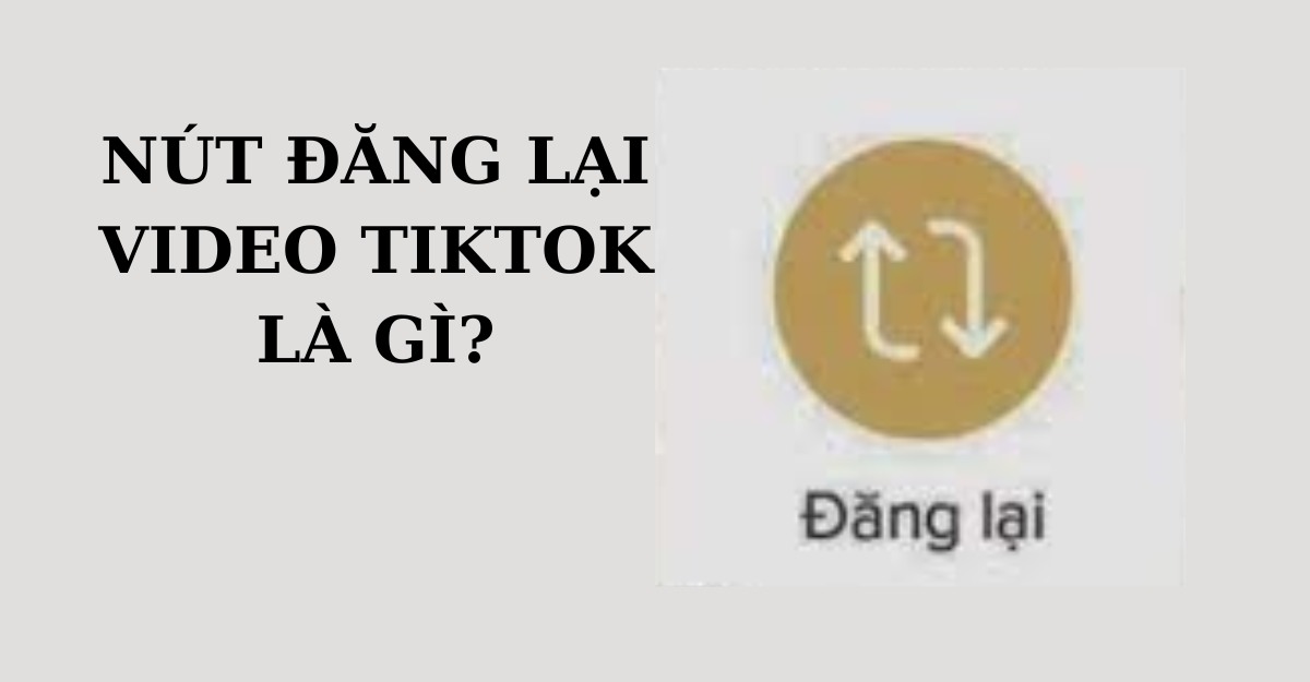 Nút đăng lại trên tiktok