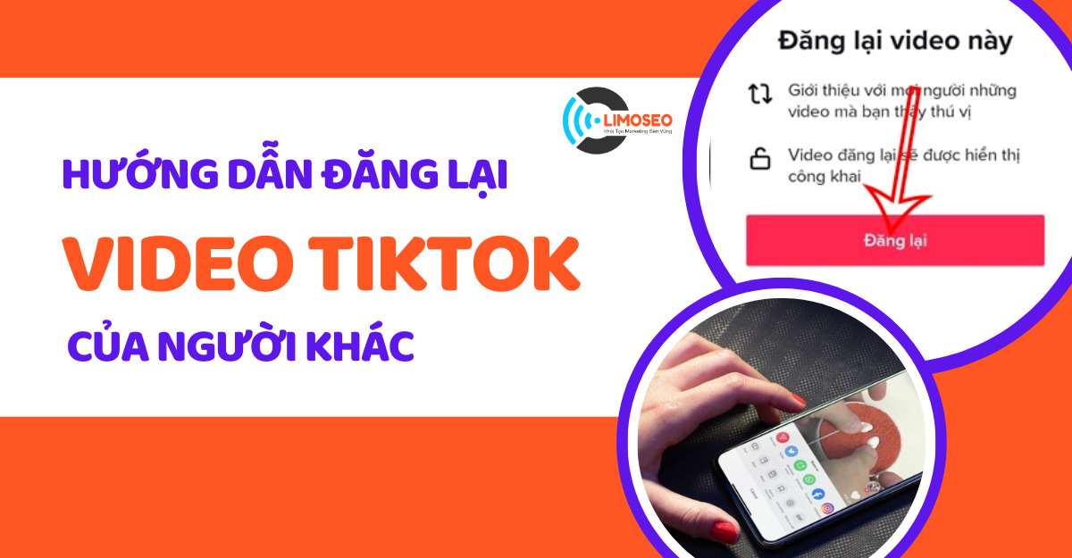 Đăng lại trên tiktok là gì? Hướng dẫn đăng lại video tiktok