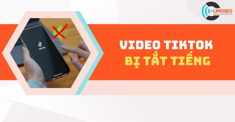 Lý do tại sao video TikTok bị tắt tiếng