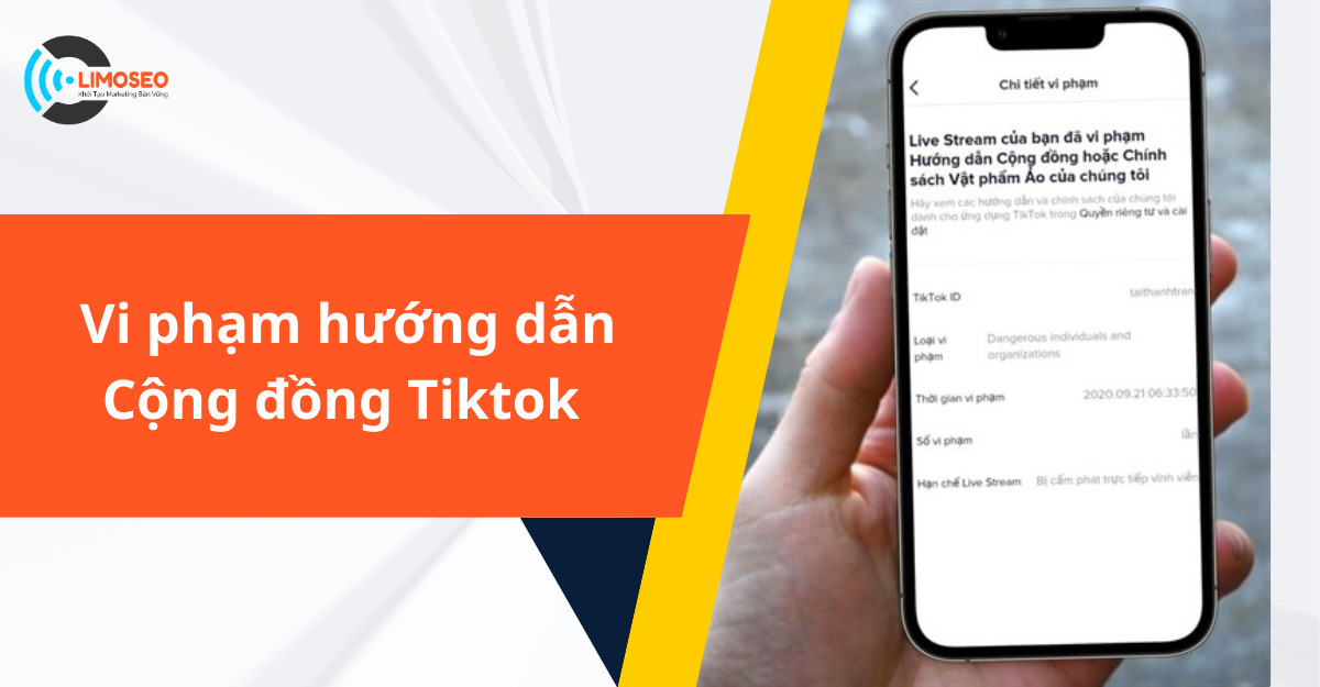 Vi phạm hướng dẫn cộng đồng tiktok là gì