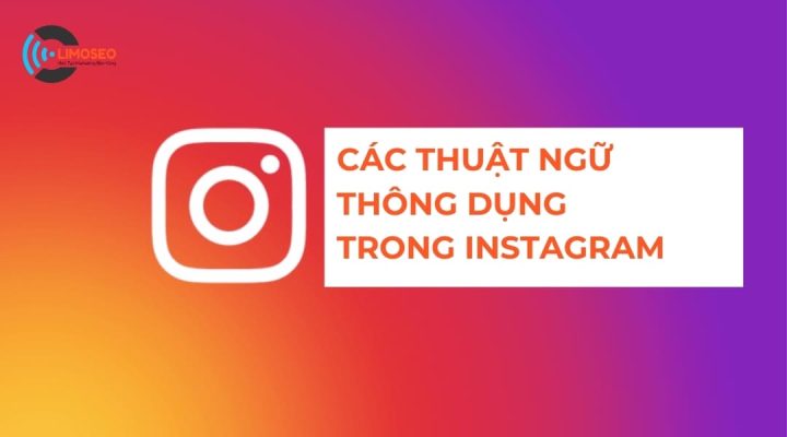 Các thuật ngữ thông dụng trong Instagram Limoseo