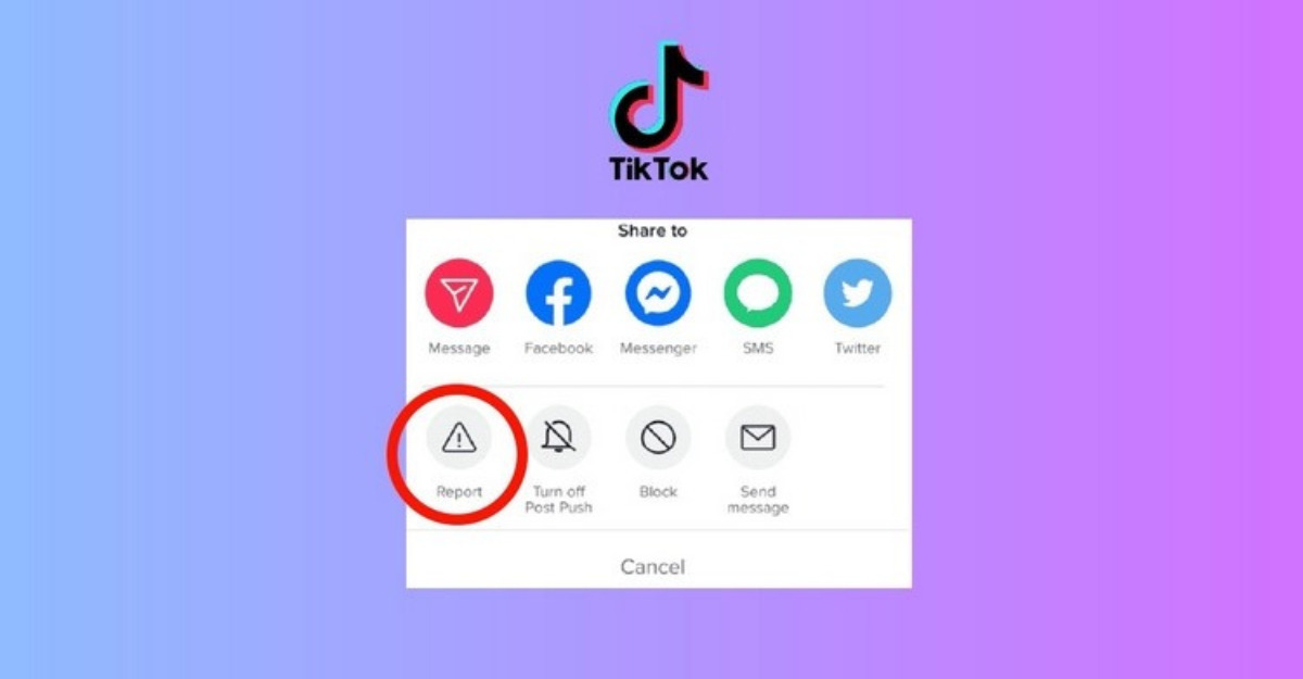 Cách thực hiện báo cáo kênh TikTok vi phạm