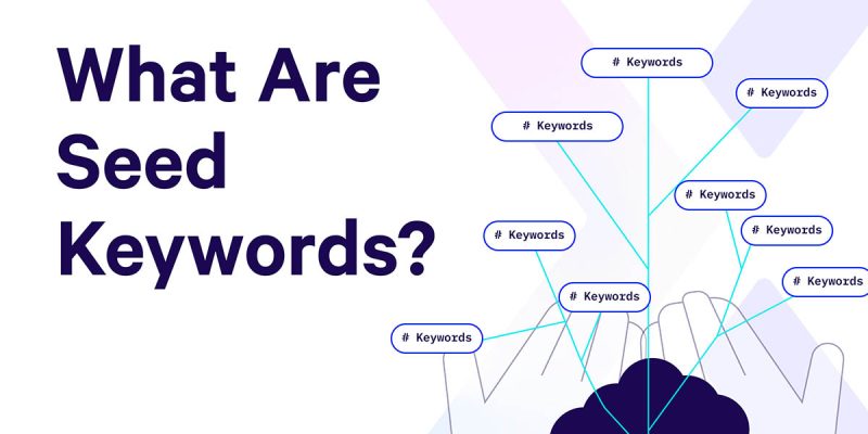 Seed Keyword là gì? Cách tìm từ khóa hạt giống cho SEO