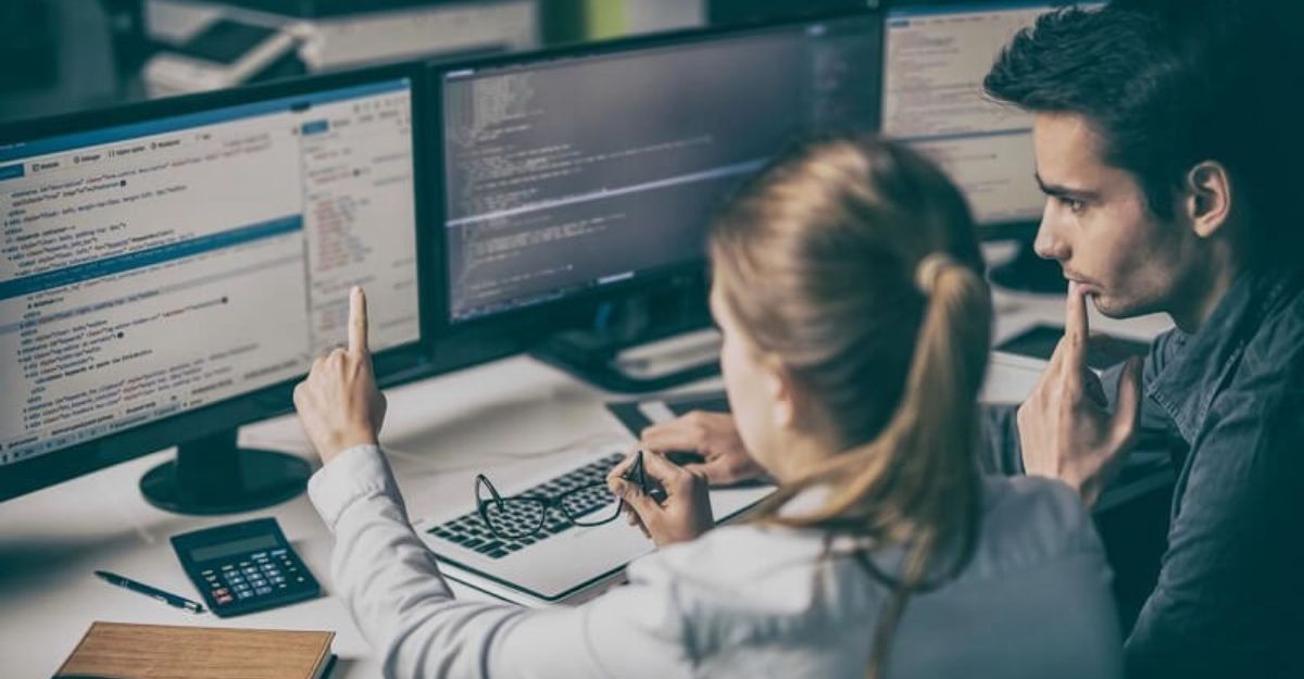 Developer là gì