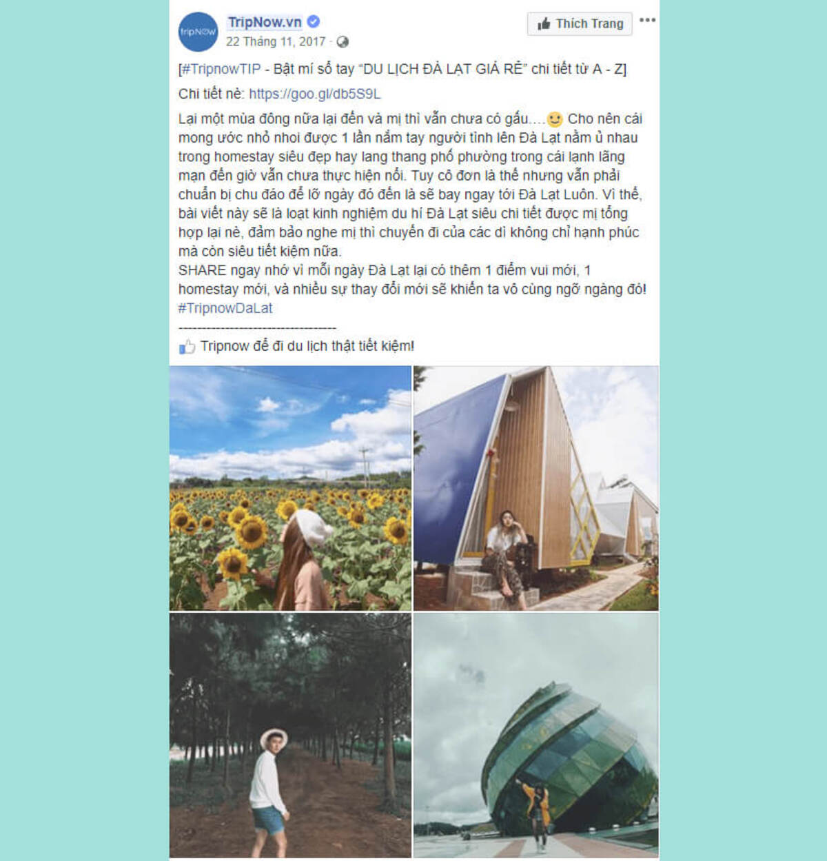 Mẫu content thông tin