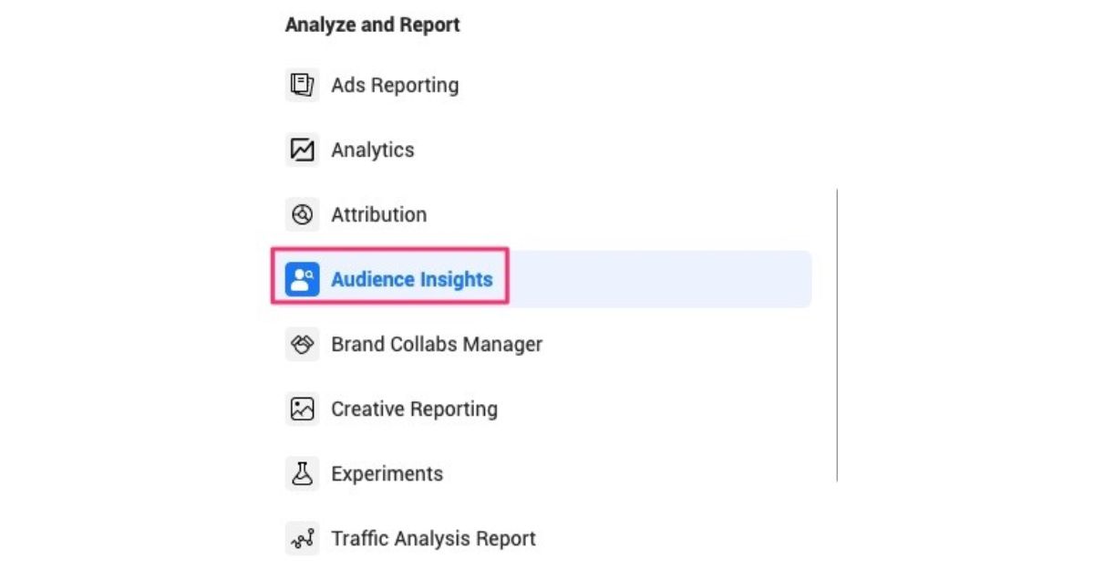 Audience Insight