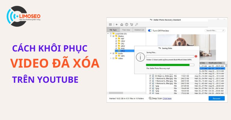 cách khôi phục video đã xóa trên Youtube