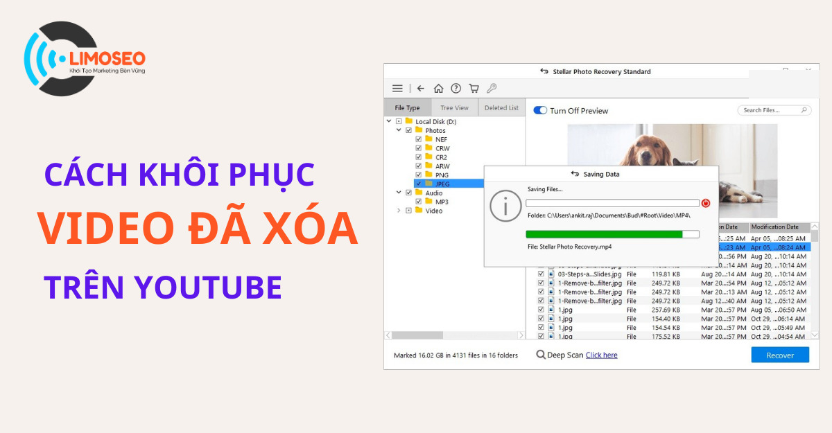 cách khôi phục video đã xóa trên Youtube