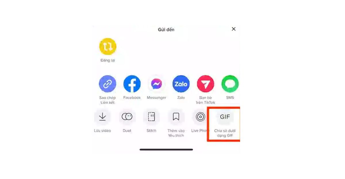 Chia sẻ dưới dạng GIF trên TikTok là gì?