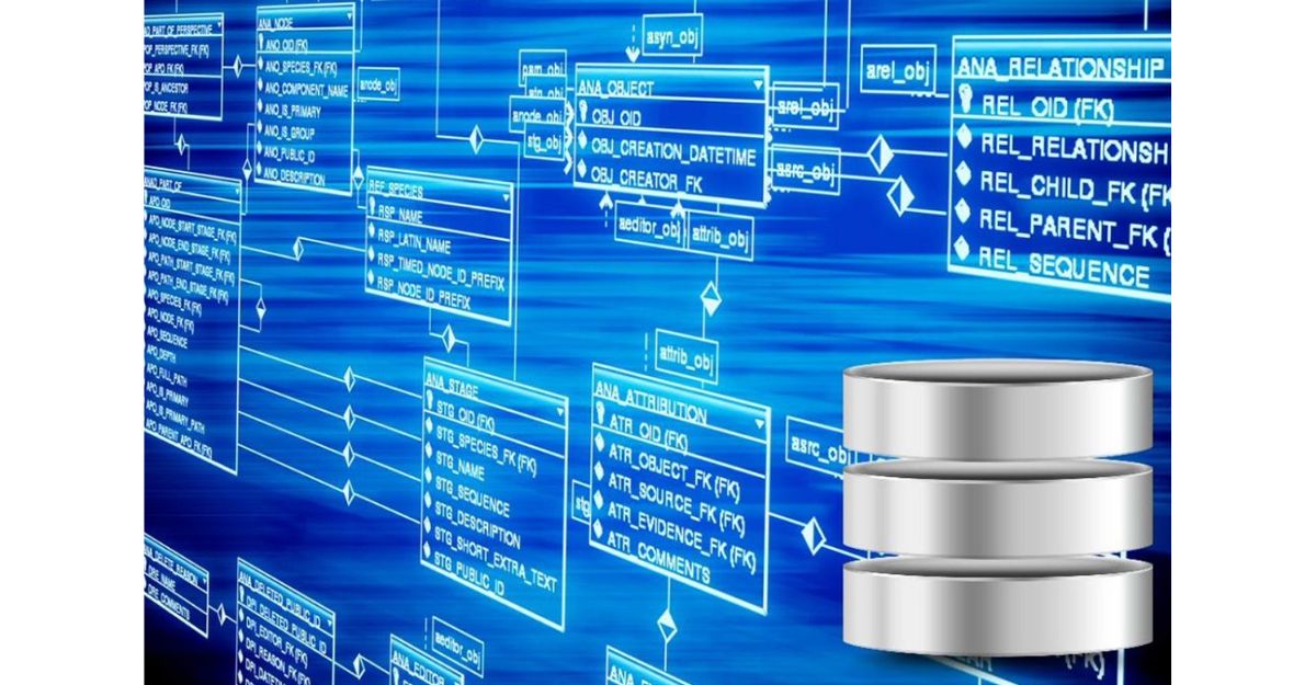 Cơ sở dữ liệu (Database)
