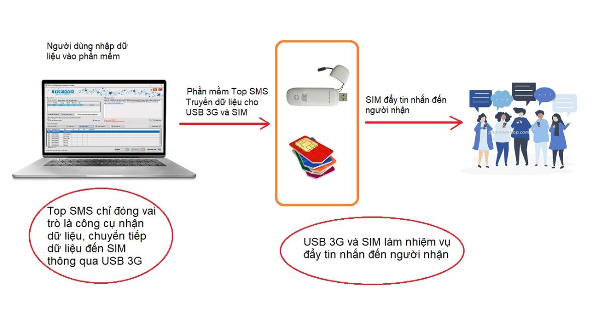 Nguyên nhân SMS bị ảnh hưởng bởi tin nhắn spam là gì?