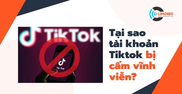 Tại sao tài khoản TikTok bị cấm vĩnh viễn? - Limoseo