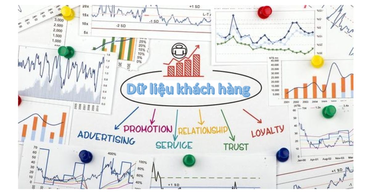 Xây dựng cơ sở dữ liệu khách hàng