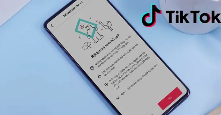 Xem hồ sơ TikTok là gì? Cách xem hồ sơ Tiktok - Limoseo