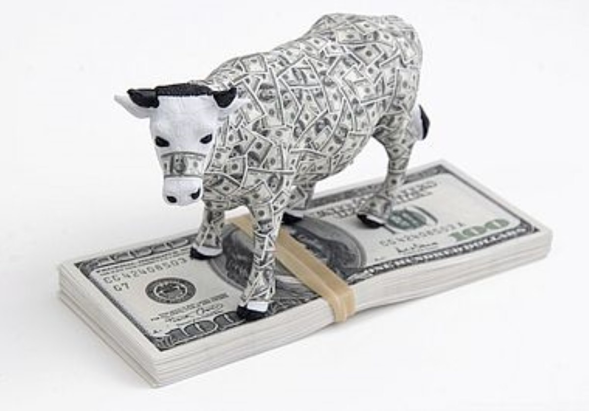 Ma trận BCG, Growth share matrix là gì Cow
