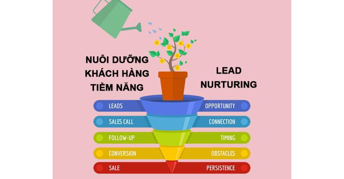 Lead Nurturing Email là gì?