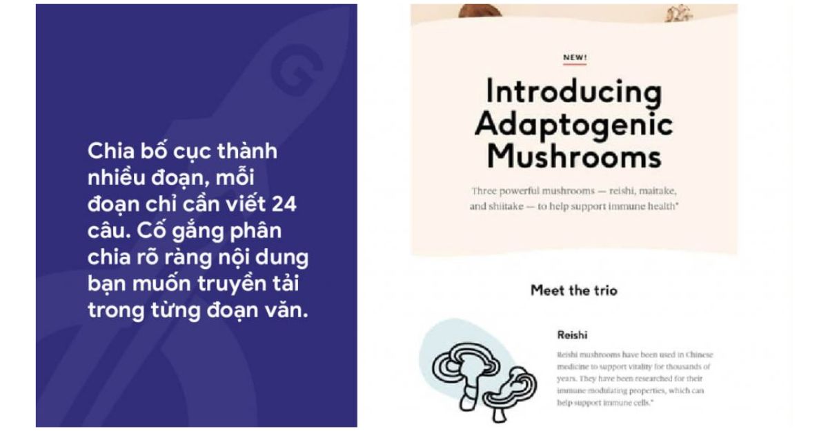 Nội dung email ngắn gọn và súc tích