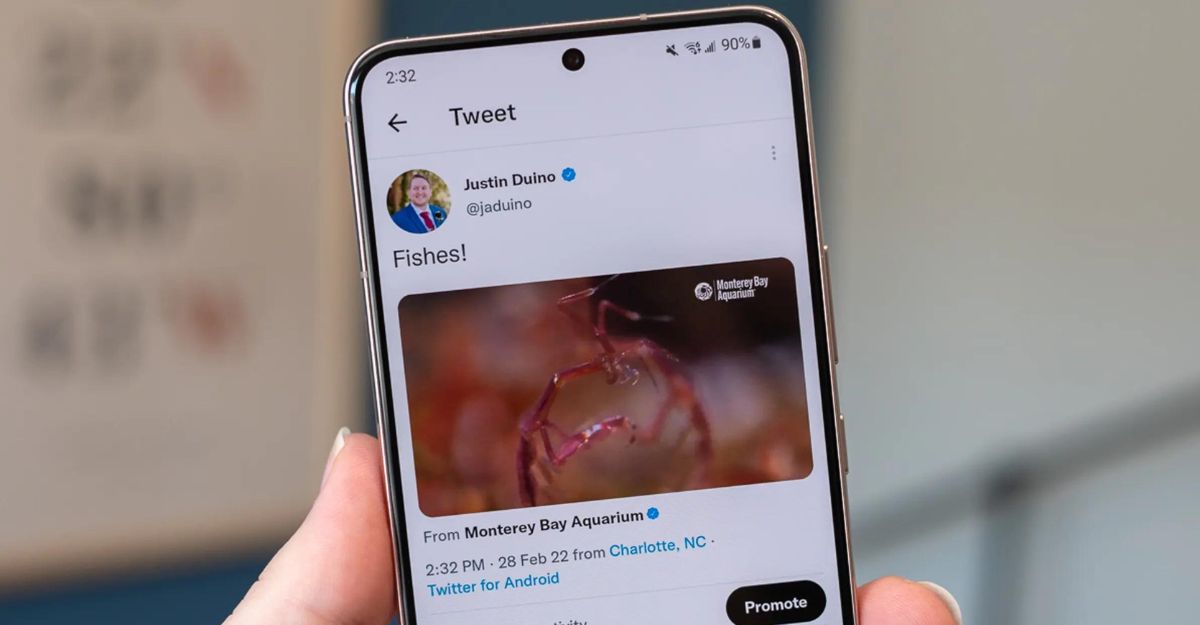 Chuyển Thiết bị hoặc Trình duyệt sang Phát Video trên Twitter