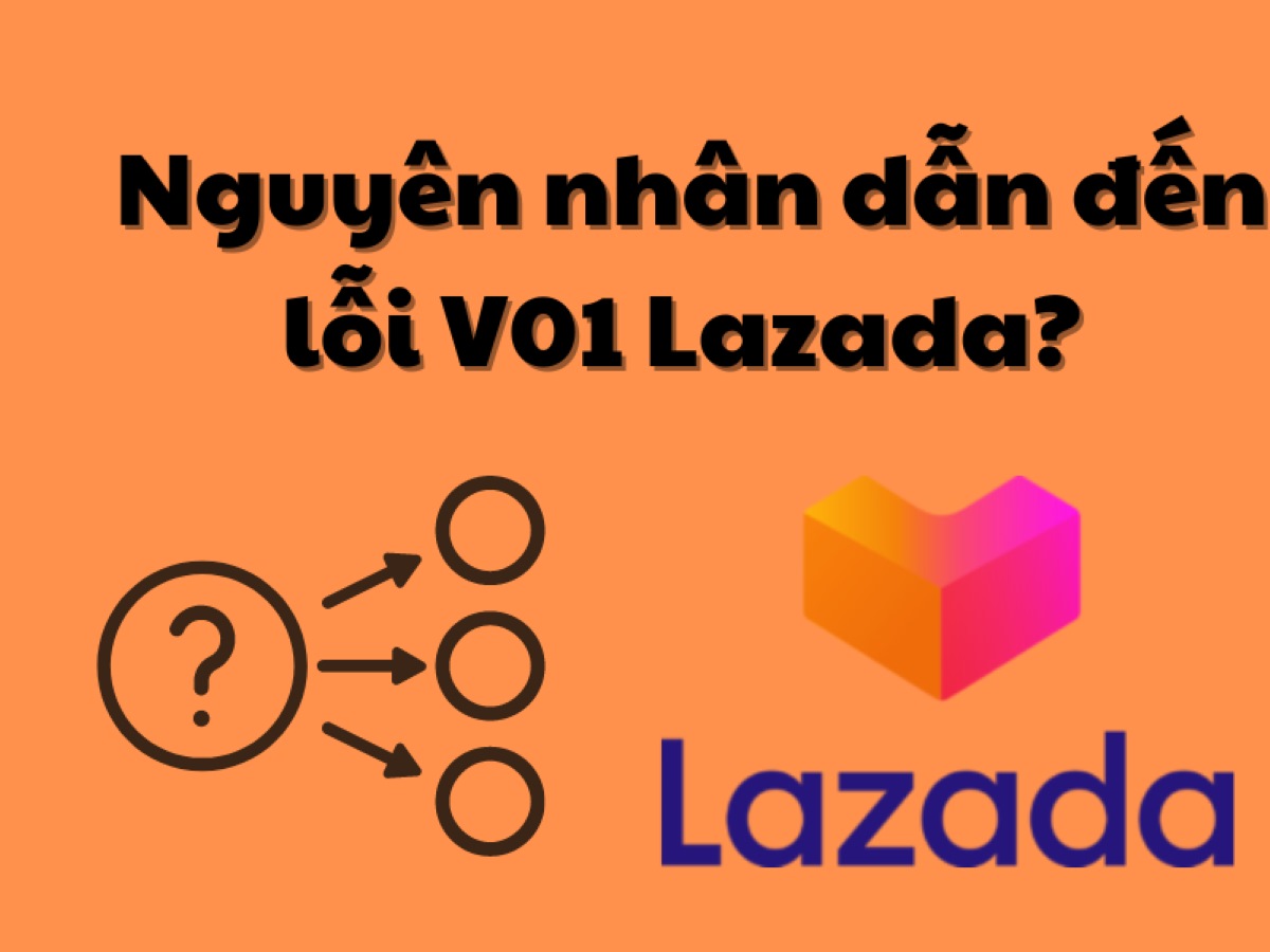 Nguyên nhân có thể gây ra lỗi V01 Lazada