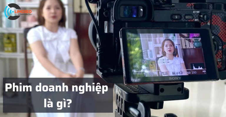 Phim doanh nghiệp là gì