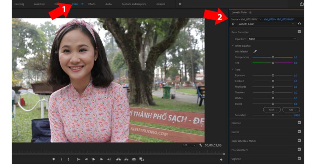 Cách chỉnh màu video trên Premiere với White Balance