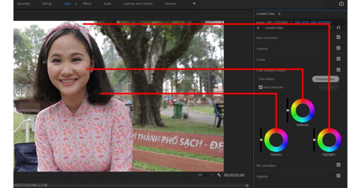 Chỉnh màu Video trong Premiere bằng Điều chỉnh màu sắc