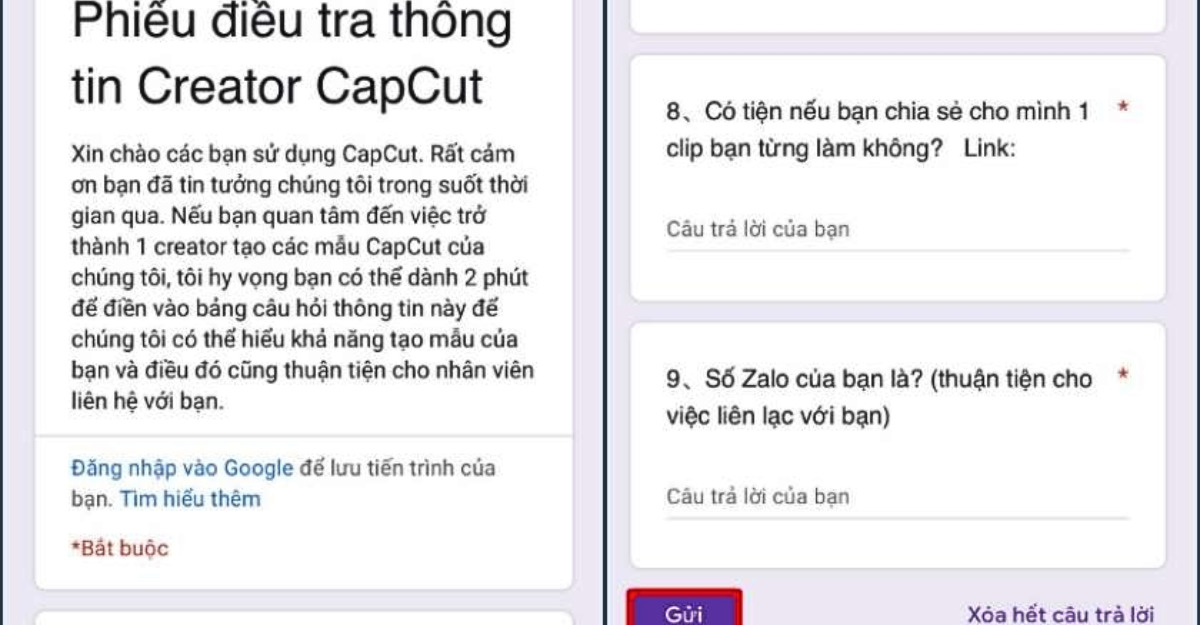 Gửi biểu mẫu và chọn dự án mớ- Limoseo