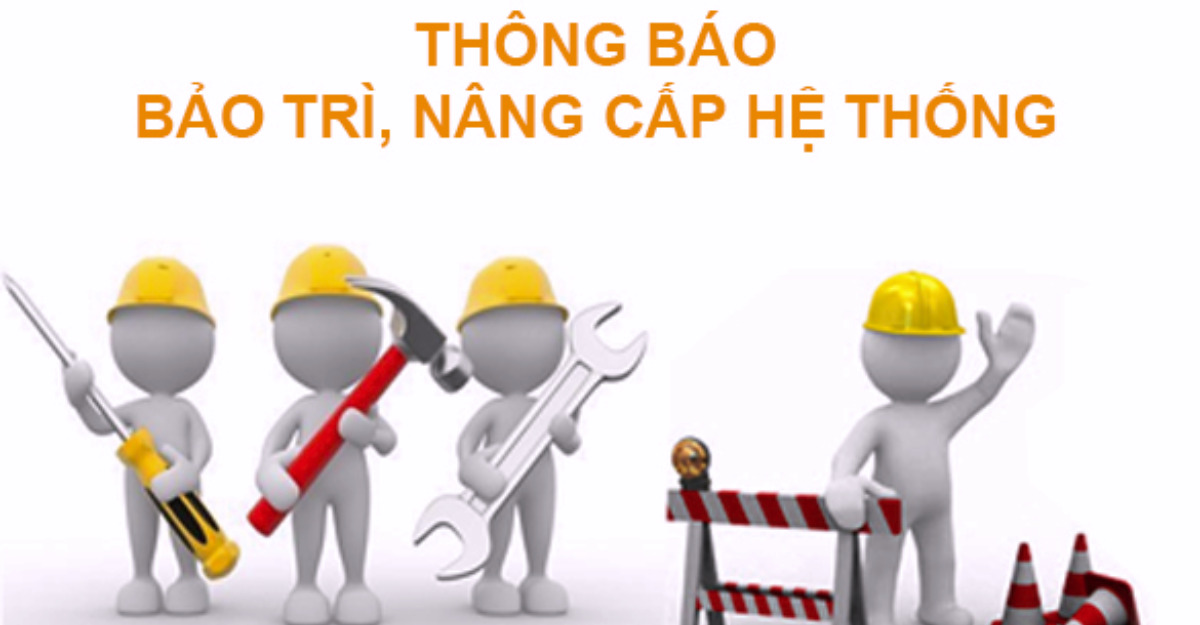 Lỗi do hệ thống- Limoseo