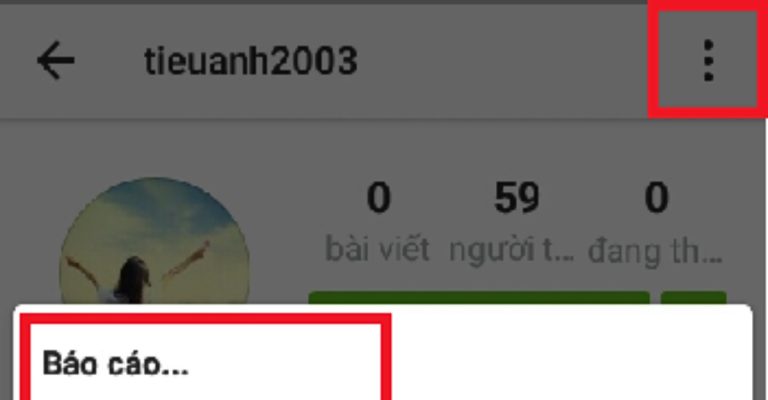 Tại sao người dùng muốn report tài khoản Instagram- Limoseo