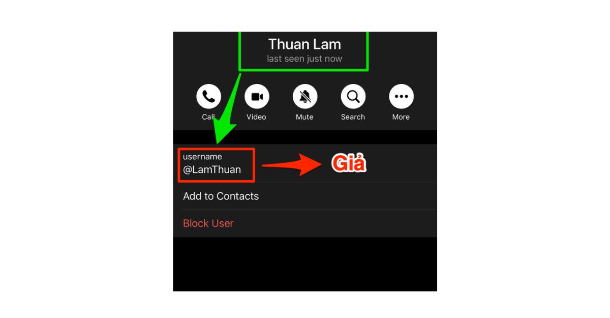 Tại sao Telegram handle ID lại quan trọng?