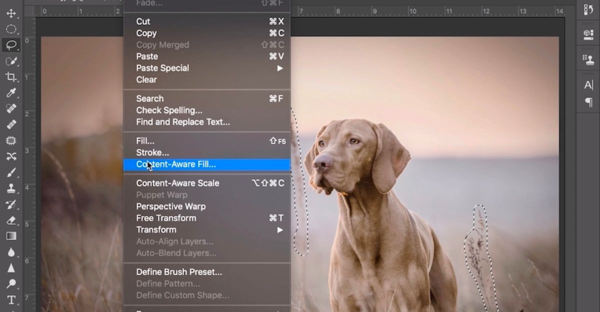 Cách xóa vật thể trong Photoshop bằng công cụ Content-Aware Fill