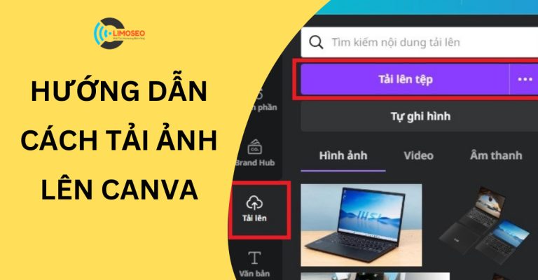 Hướng dẫn cách tải ảnh lên canva đơn giản Limoseo