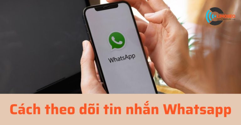 Hướng dẫn cách theo dõi tin nhắn Whatsapp