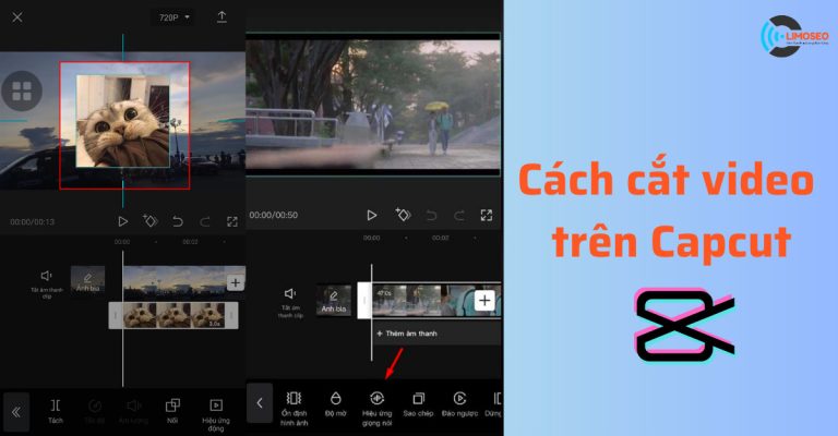 cách cắt video trên Capcut