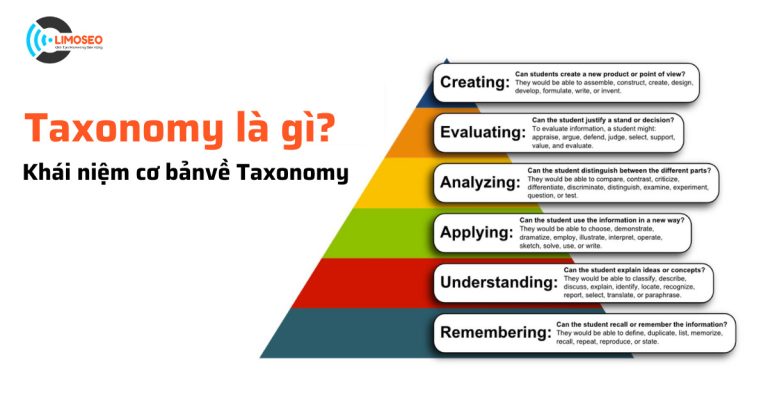 taxonomy là gì