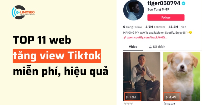 top 11 trang web tăng view TikTok miễn phí