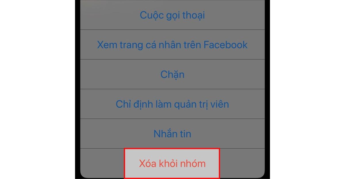 Cách xóa thành viên ra khỏi nhóm Messenger trên điện thoại iPhone