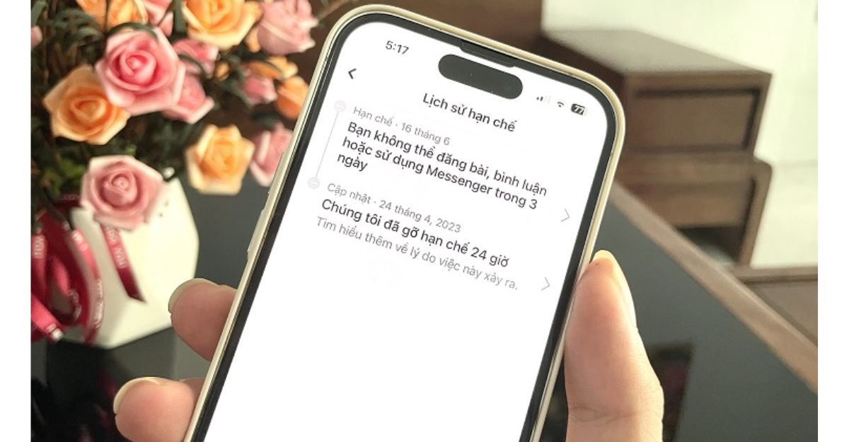 Lý do tại sao tài khoản Facebook bị hạn chế 2 ngày?