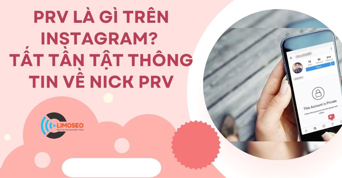 PRV là gì trên Instagram? Tất tần tật thông tin về nick PRV