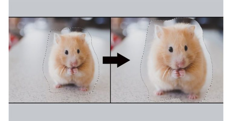 cách thay đổi kích thước vùng chọn trong Photoshop