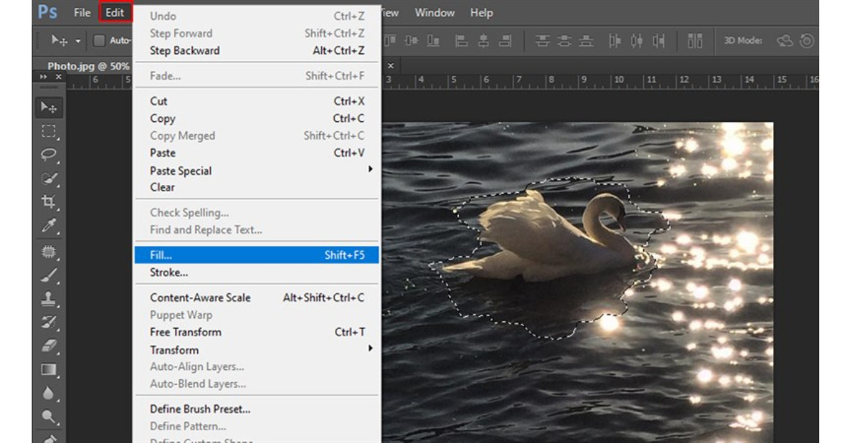 Cách xóa vùng chọn trong Photoshop với công cụ Fill