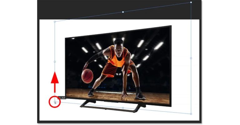 chèn ảnh vào vùng chọn trong Photoshop