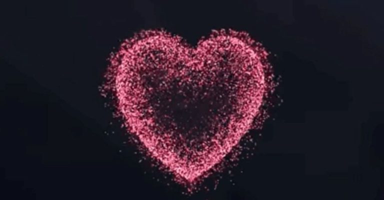 code trái tim của thủ khoa lý