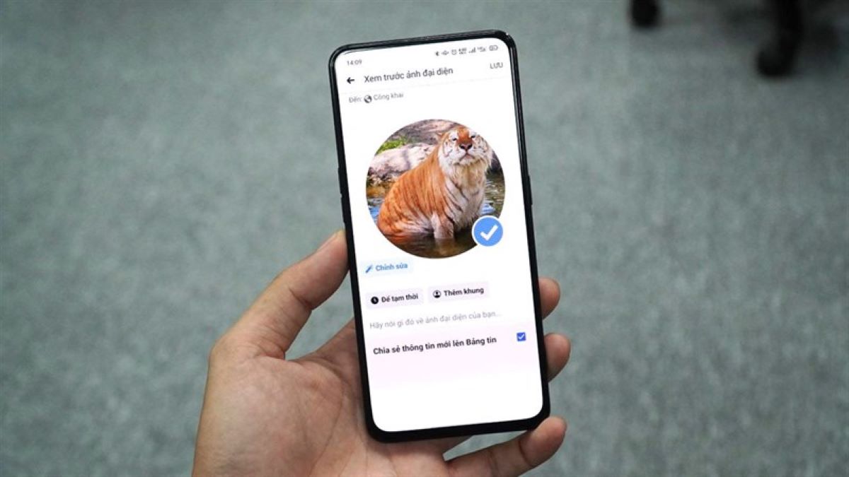 dấu tích xanh trên facebook là gì
