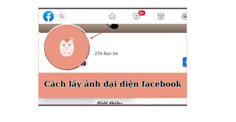 lấy ảnh đại diện facebook