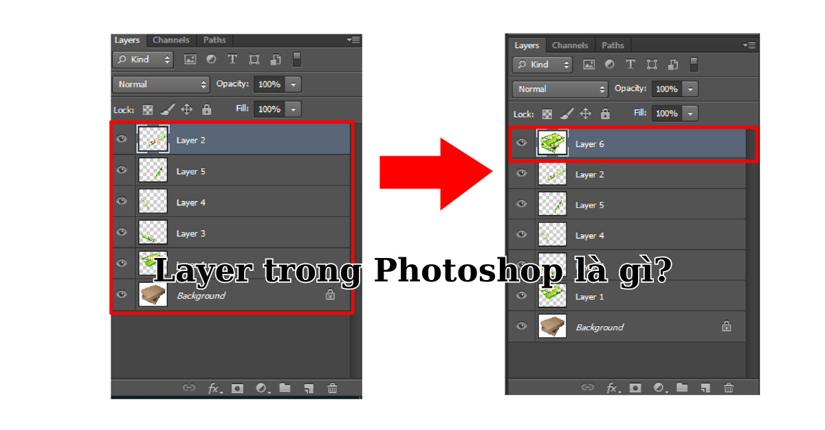 Layer trong Photoshop là gì