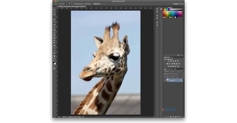 tách đối tượng trong photoshop