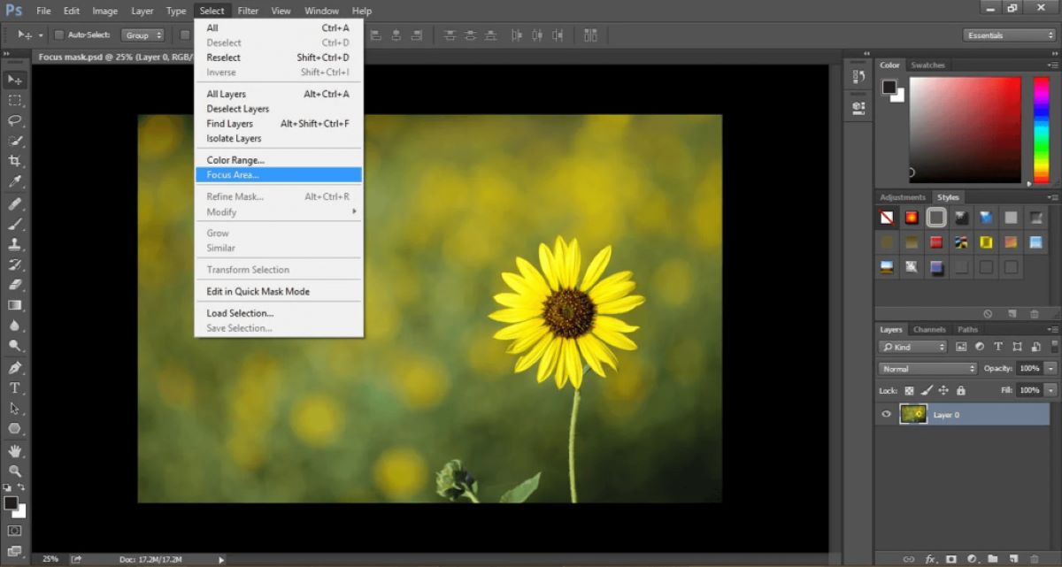 tách đối tượng trong photoshop bằng focus area